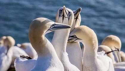 微山伴游，定制QQ：3494206190微信：act1322